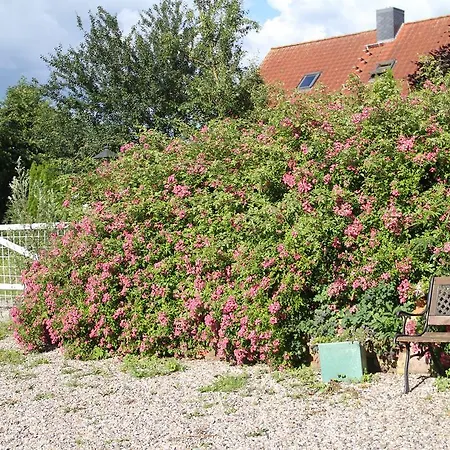 Penzion Betten Im Bauernhaus *